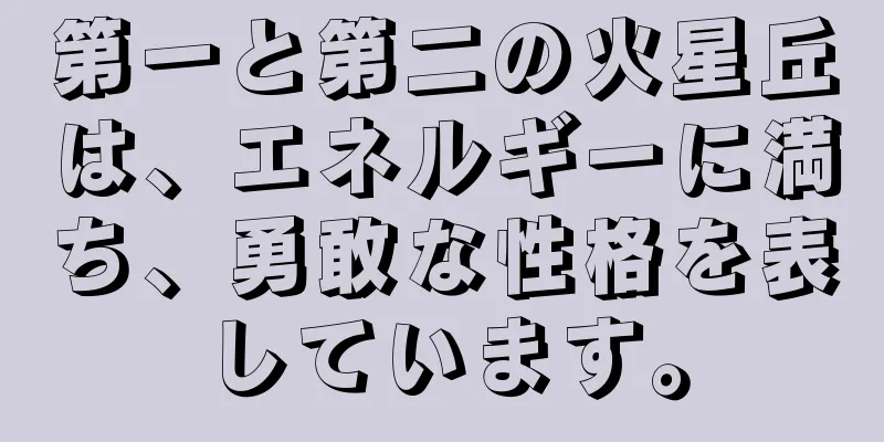 第一と第二の火星丘は、エネルギーに満ち、勇敢な性格を表しています。