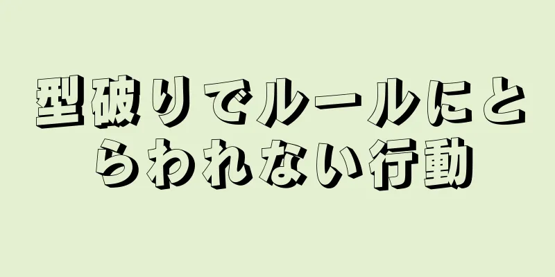 型破りでルールにとらわれない行動