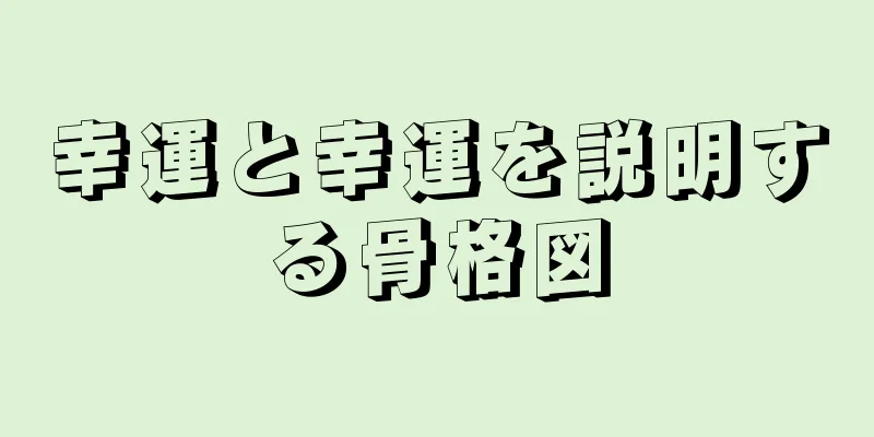 幸運と幸運を説明する骨格図