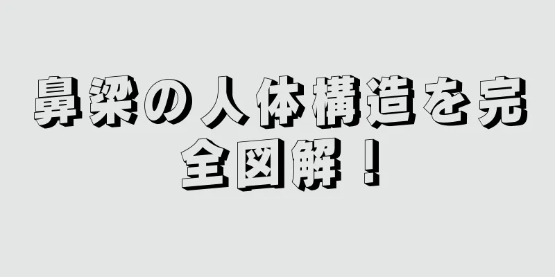 鼻梁の人体構造を完全図解！