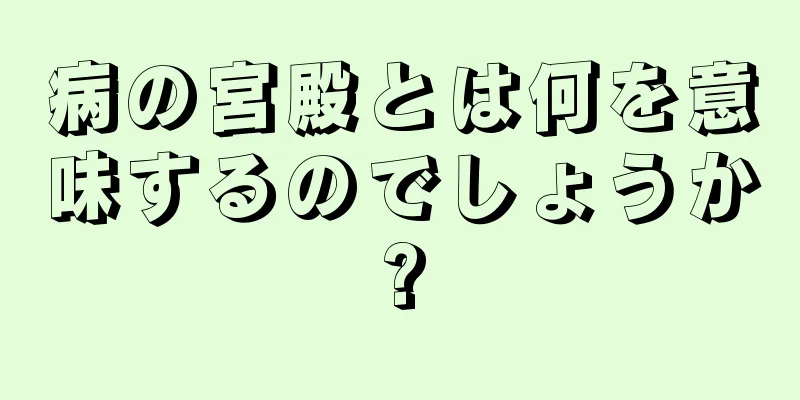 病の宮殿とは何を意味するのでしょうか?