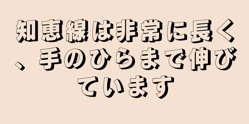 知恵線は非常に長く、手のひらまで伸びています