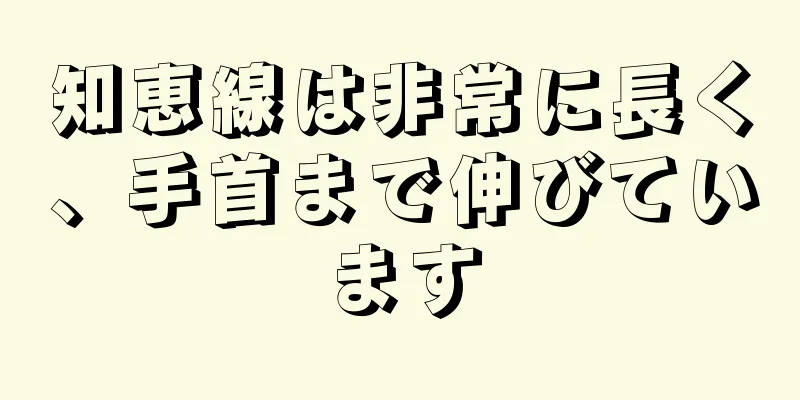 知恵線は非常に長く、手首まで伸びています