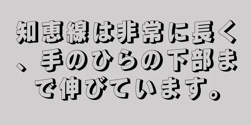 知恵線は非常に長く、手のひらの下部まで伸びています。