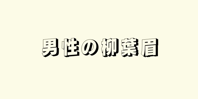 男性の柳葉眉