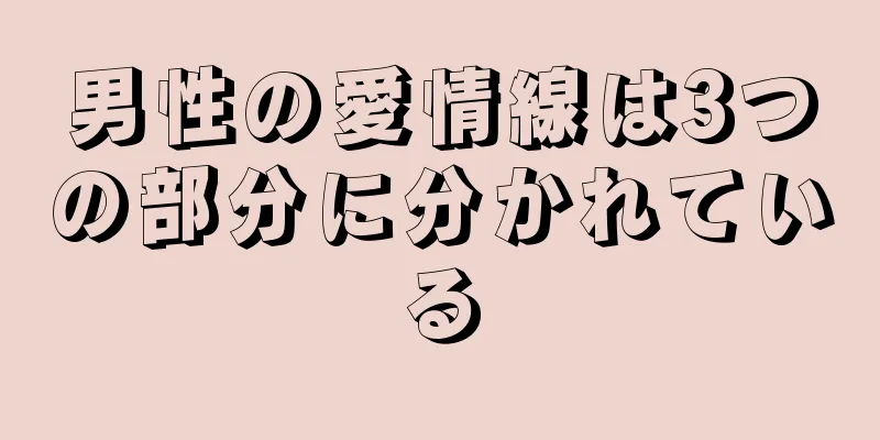 男性の愛情線は3つの部分に分かれている