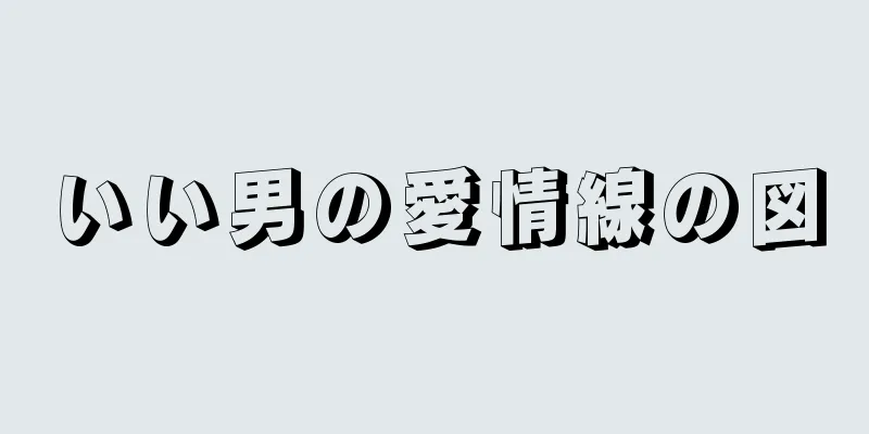 いい男の愛情線の図