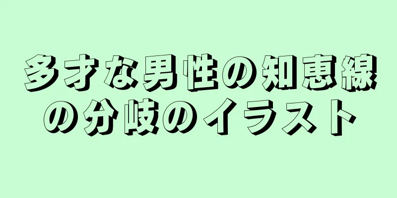 多才な男性の知恵線の分岐のイラスト