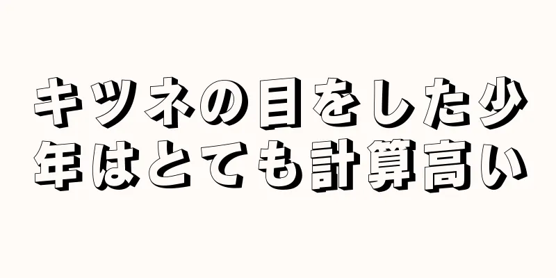 キツネの目をした少年はとても計算高い