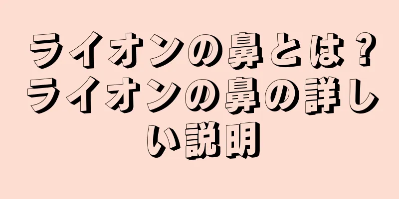 ライオンの鼻とは？ライオンの鼻の詳しい説明