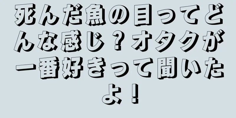 死んだ魚の目ってどんな感じ？オタクが一番好きって聞いたよ！