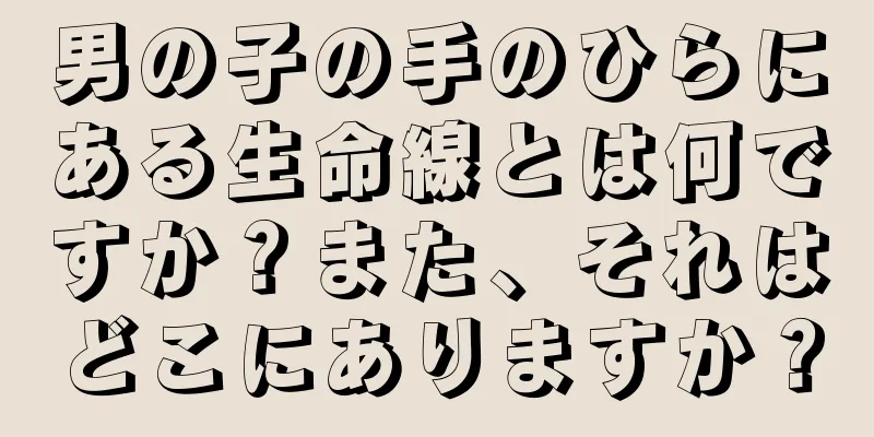 男の子の手のひらにある生命線とは何ですか？また、それはどこにありますか？