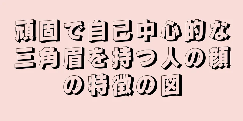 頑固で自己中心的な三角眉を持つ人の顔の特徴の図