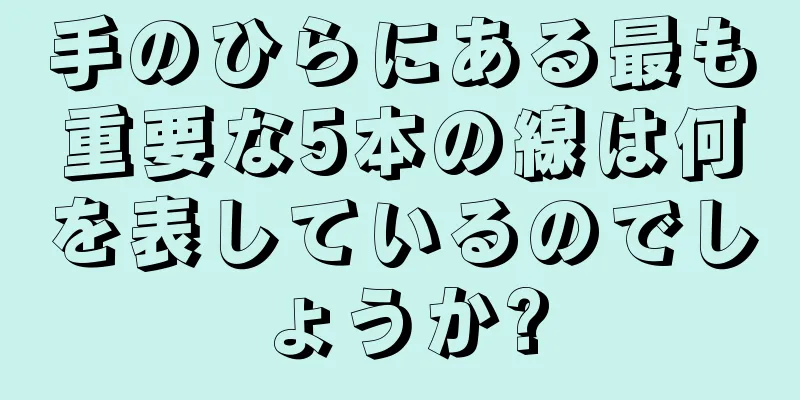 手のひらにある最も重要な5本の線は何を表しているのでしょうか?