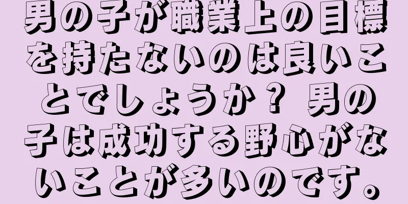 男の子が職業上の目標を持たないのは良いことでしょうか？ 男の子は成功する野心がないことが多いのです。