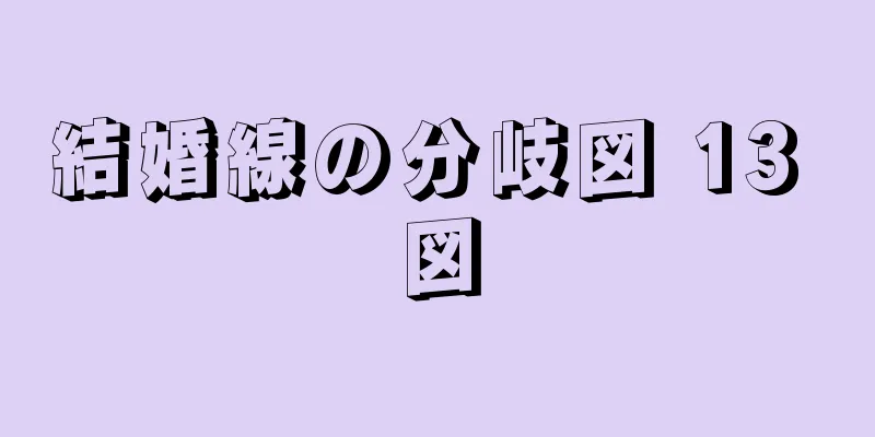 結婚線の分岐図 13 図