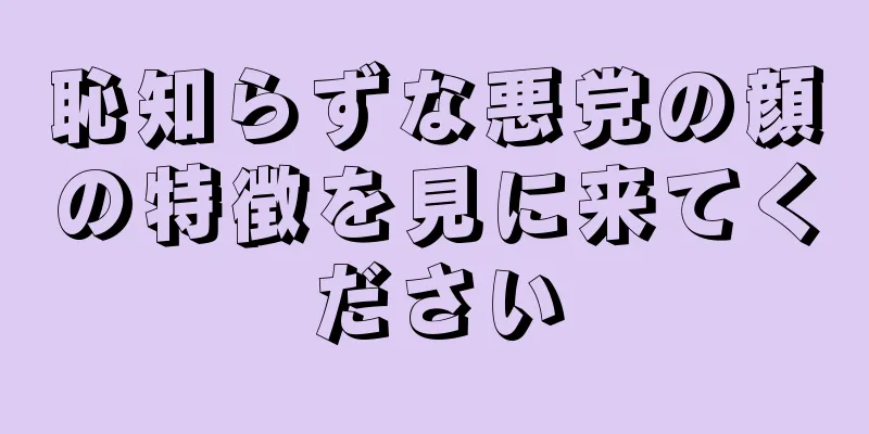 恥知らずな悪党の顔の特徴を見に来てください