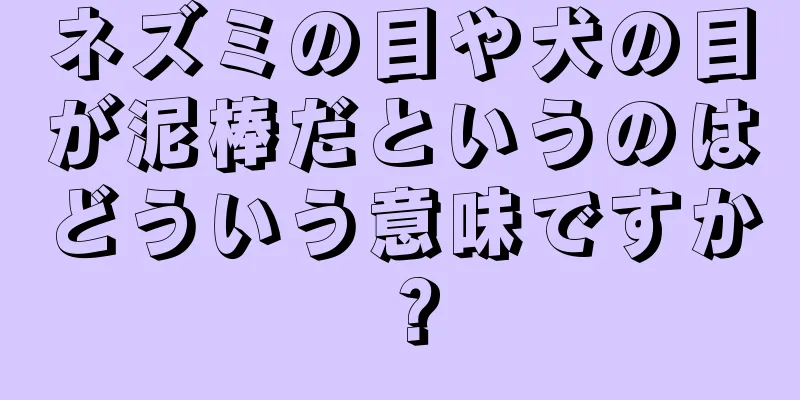 ネズミの目や犬の目が泥棒だというのはどういう意味ですか？