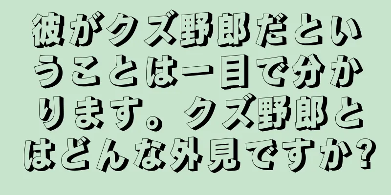 彼がクズ野郎だということは一目で分かります。クズ野郎とはどんな外見ですか?