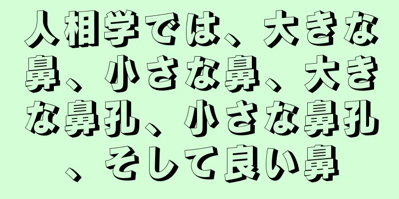 人相学では、大きな鼻、小さな鼻、大きな鼻孔、小さな鼻孔、そして良い鼻