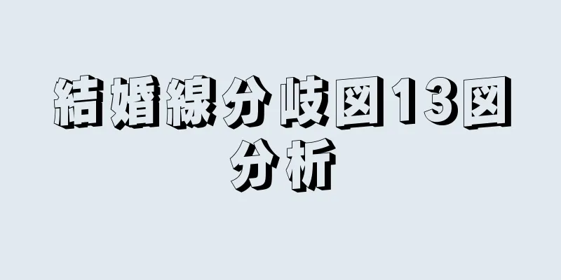 結婚線分岐図13図分析