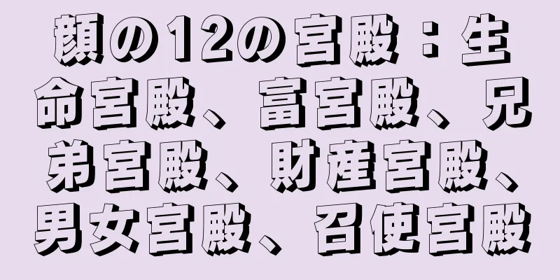 顔の12の宮殿：生命宮殿、富宮殿、兄弟宮殿、財産宮殿、男女宮殿、召使宮殿