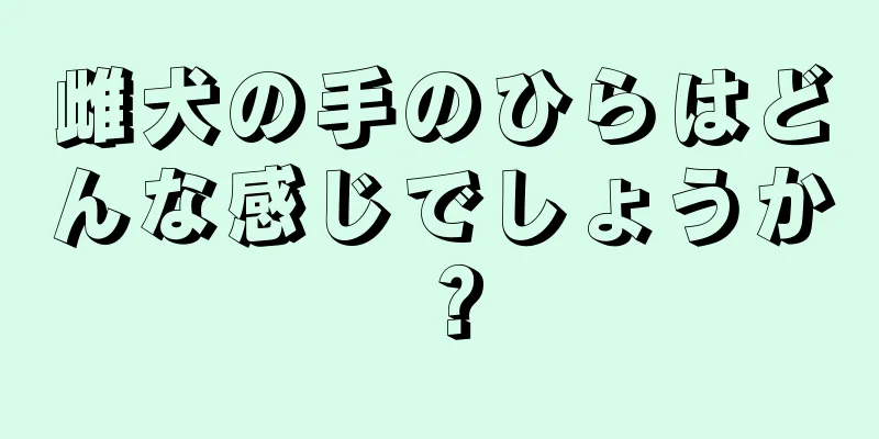 雌犬の手のひらはどんな感じでしょうか？