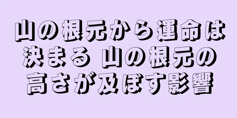 山の根元から運命は決まる 山の根元の高さが及ぼす影響