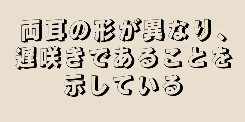 両耳の形が異なり、遅咲きであることを示している