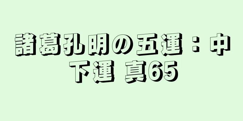 諸葛孔明の五運：中下運 真65