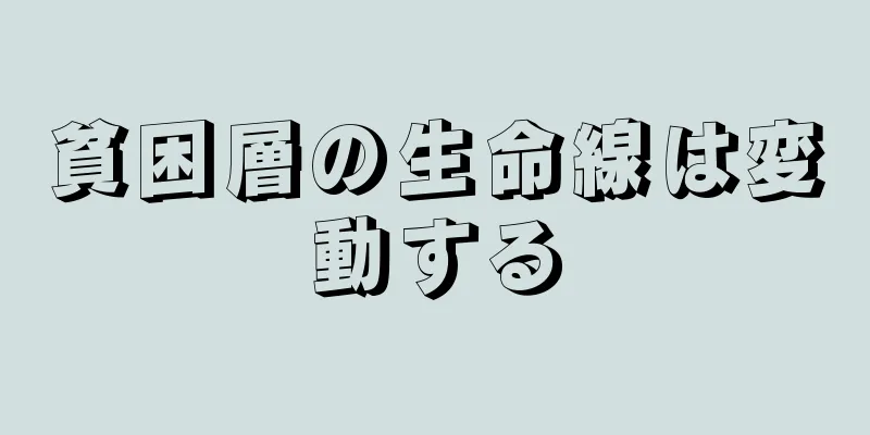 貧困層の生命線は変動する