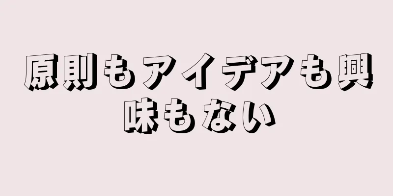 原則もアイデアも興味もない