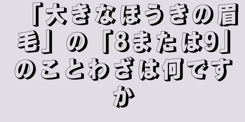 「大きなほうきの眉毛」の「8または9」のことわざは何ですか