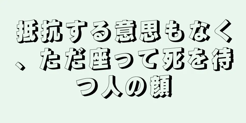 抵抗する意思もなく、ただ座って死を待つ人の顔