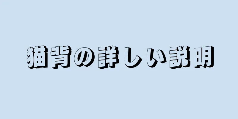 猫背の詳しい説明