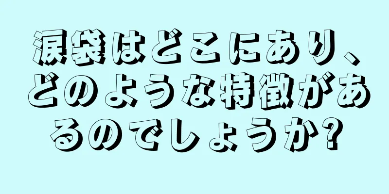 涙袋はどこにあり、どのような特徴があるのでしょうか?