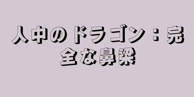 人中のドラゴン：完全な鼻梁