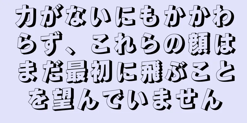 力がないにもかかわらず、これらの顔はまだ最初に飛ぶことを望んでいません