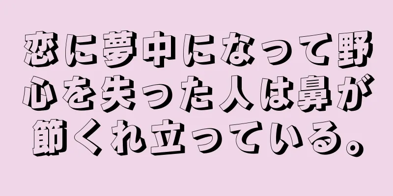 恋に夢中になって野心を失った人は鼻が節くれ立っている。