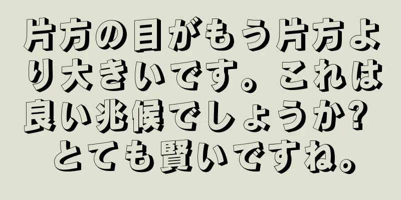 片方の目がもう片方より大きいです。これは良い兆候でしょうか? とても賢いですね。