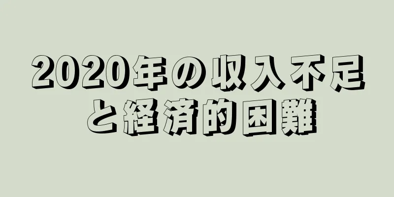 2020年の収入不足と経済的困難