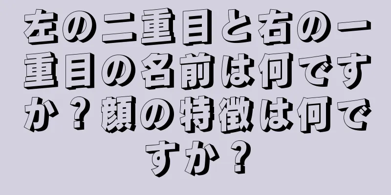 左の二重目と右の一重目の名前は何ですか？顔の特徴は何ですか？