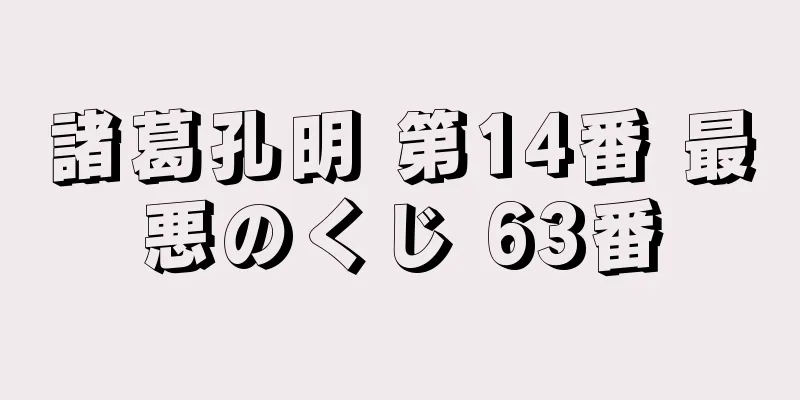 諸葛孔明 第14番 最悪のくじ 63番