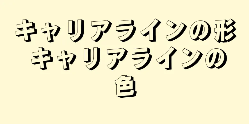 キャリアラインの形 キャリアラインの色