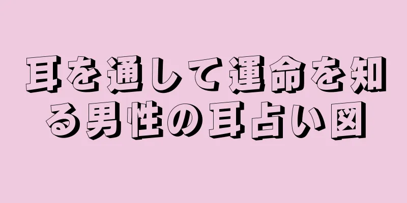 耳を通して運命を知る男性の耳占い図