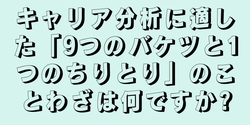 キャリア分析に適した「9つのバケツと1つのちりとり」のことわざは何ですか?