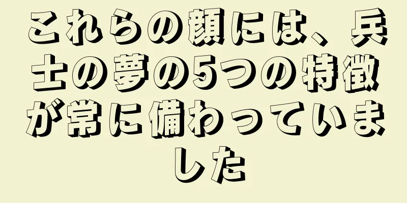 これらの顔には、兵士の夢の5つの特徴が常に備わっていました