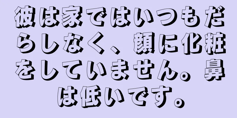 彼は家ではいつもだらしなく、顔に化粧をしていません。鼻は低いです。