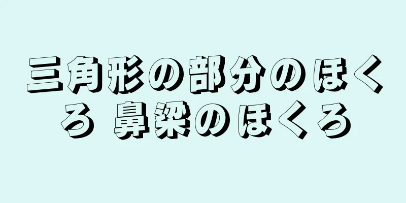 三角形の部分のほくろ 鼻梁のほくろ