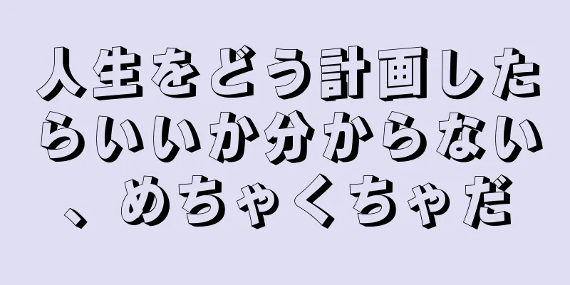 人生をどう計画したらいいか分からない、めちゃくちゃだ